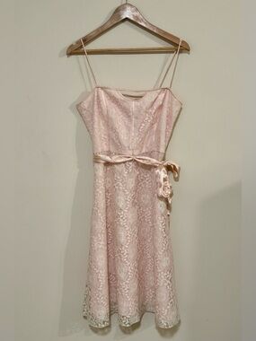 VTG 90s Laundry By Shelli Segal Blush Lace Silk Midi Dress Size 10
